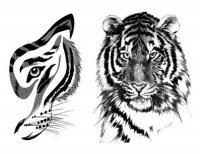 Animals tattoos - Animal tattoo - Tatuaggi animali